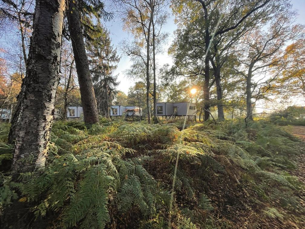 Tierpark Entdeckerhaeuser Wagenfeld Esterno foto