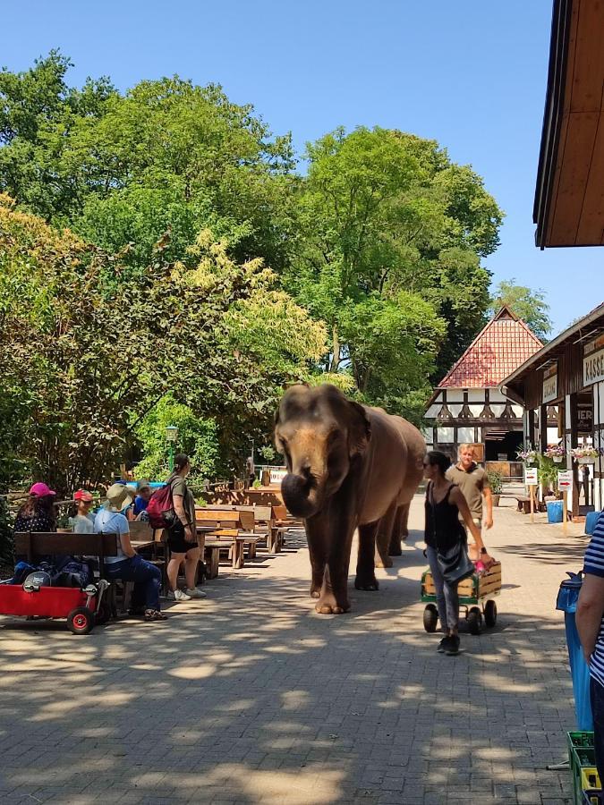 Tierpark Entdeckerhaeuser Wagenfeld Esterno foto