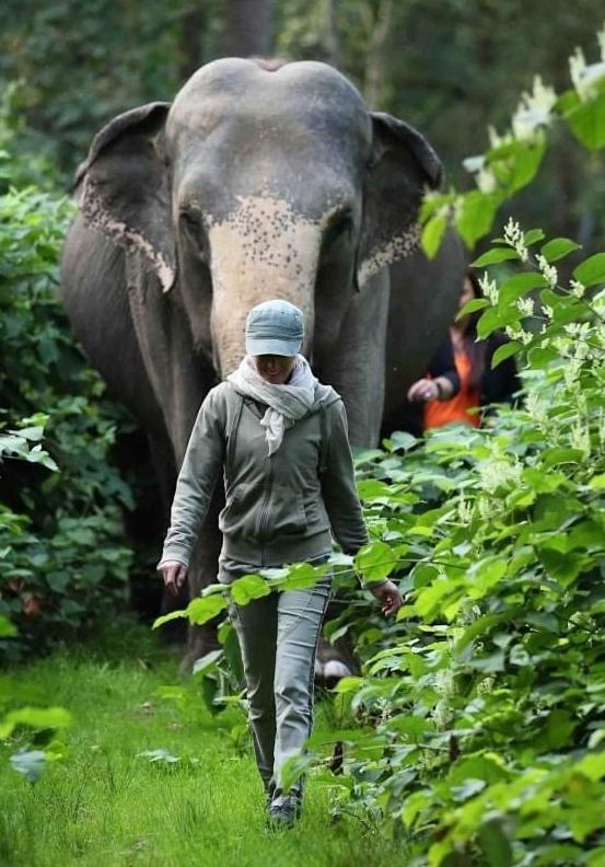 Tierpark Entdeckerhaeuser Wagenfeld Esterno foto